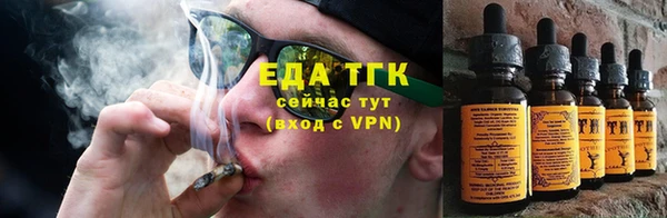 гашиш Богданович