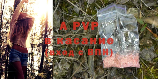 гашиш Богданович