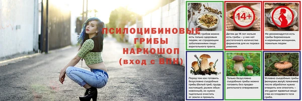 гашиш Богданович