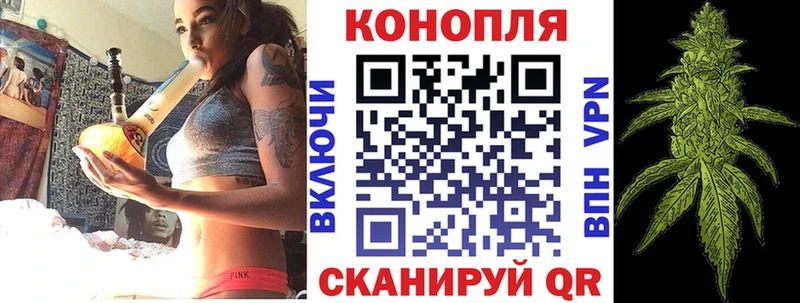Конопля OG Kush  сайты даркнета телеграм  Малаховка  купить наркотики сайты 